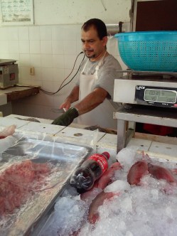 Mercado Del Mar La Cruz 3